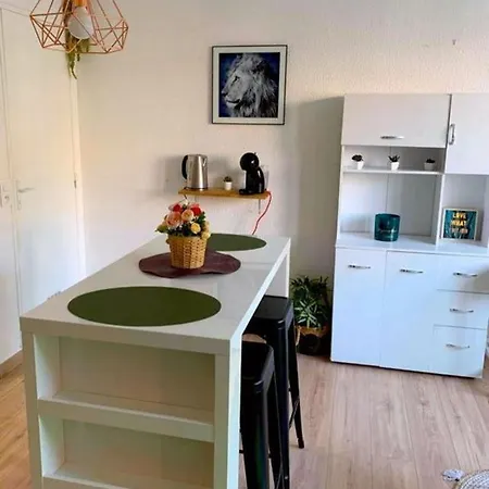 Studio Avec Vue Sur La Et Wifi A * Montpellier
